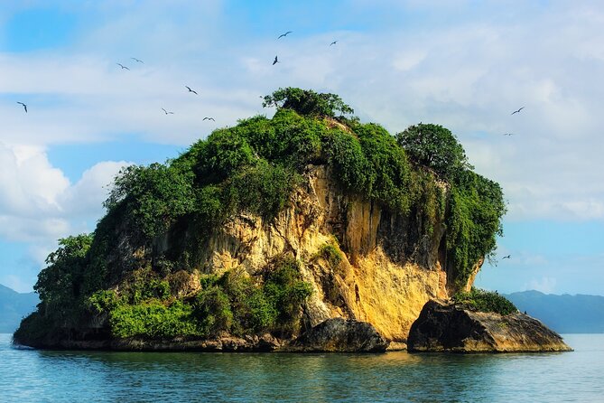 10-Hour Guided Tour of Samana and Bacardi Island Los Haitises - Pickup, transport, and how the day stays organized