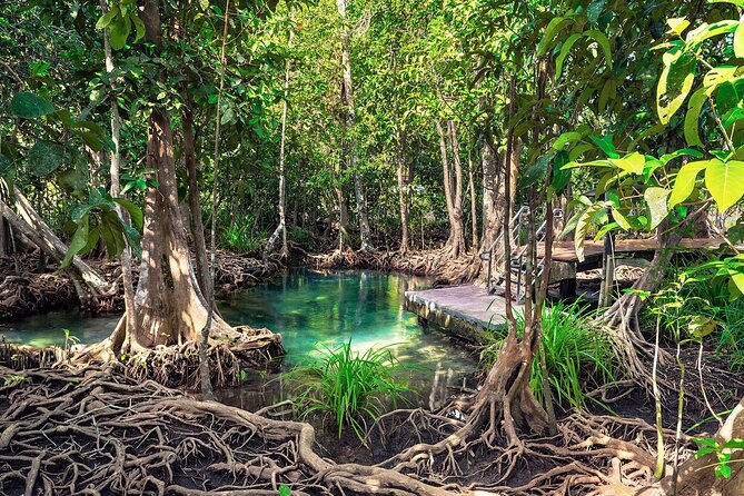 10-Hour Guided Tour of Samana and Bacardi Island Los Haitises - What to pack so you enjoy every part (not just the highlights)