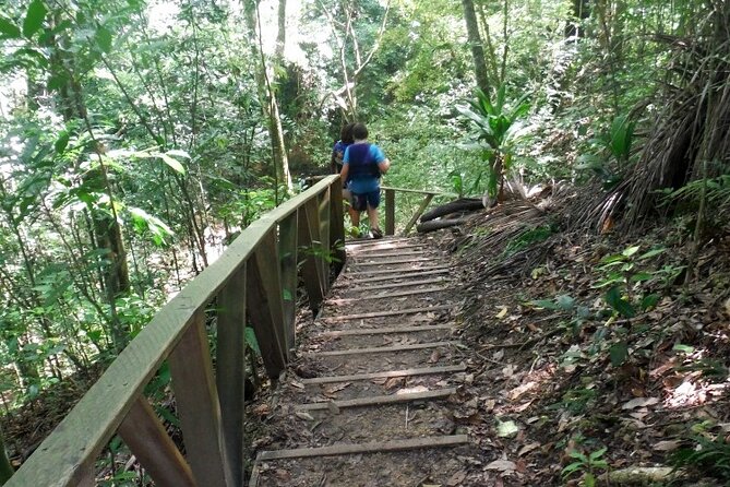 27 Waterfalls of Damajagua – Adventure Tour from Puerto Plata - Who This Tour Fits Best (And Who Should Rethink It)