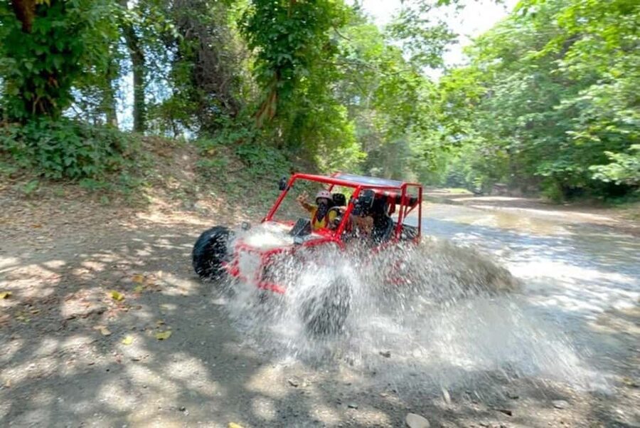 3x1: Monkeyland Damajagua Falls & Buggy Tour Puerto plata - Price and value at $189 per person