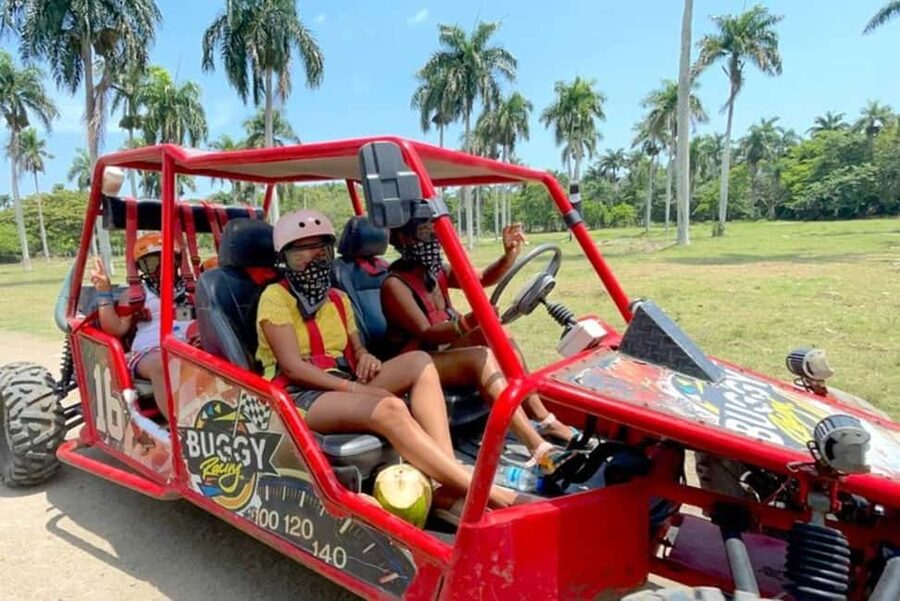 3x1: Monkeyland Damajagua Falls & Buggy Tour Puerto plata - Should you book Monkeyland + Damajagua + buggy?