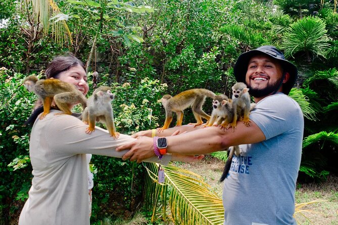 3x1: Monkeyland Waterfalls and Buggy Tour Puerto Plata - Monkeyland Squirrel Monkeys: what feeding time really means