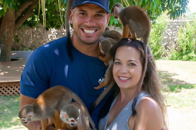 3x1: Monkeyland Waterfalls and Buggy Tour Puerto Plata - Who this 3x1 is best for (and who should skip it)