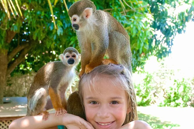 3x1: Monkeyland Waterfalls and Buggy Tour Puerto Plata - Practical tips so you feel good all day