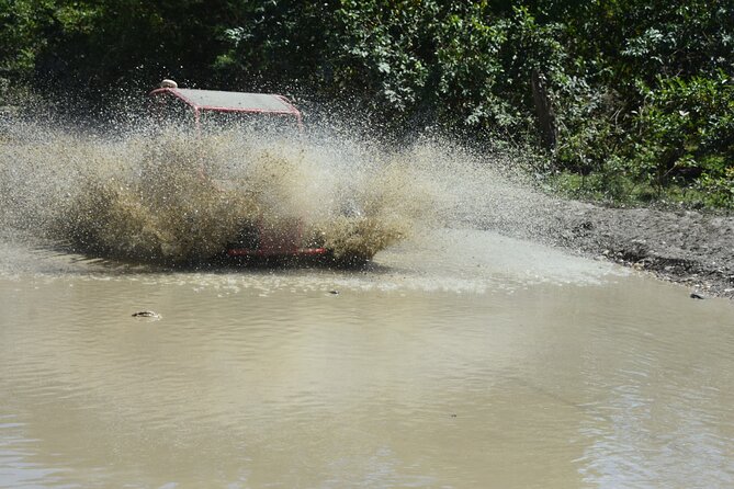 7 Waterfalls Damajagua and Dune Buggy - Damajagua Waterfalls: slides, jumps, and a lot of stairs
