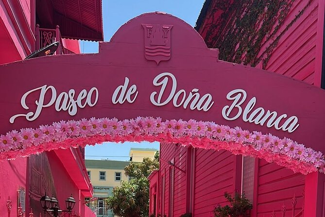 Airport Transfer From Santiago to Puerto Plata one way - Drop-Off Done Right: Getting to Puerto Plata Without Guessing