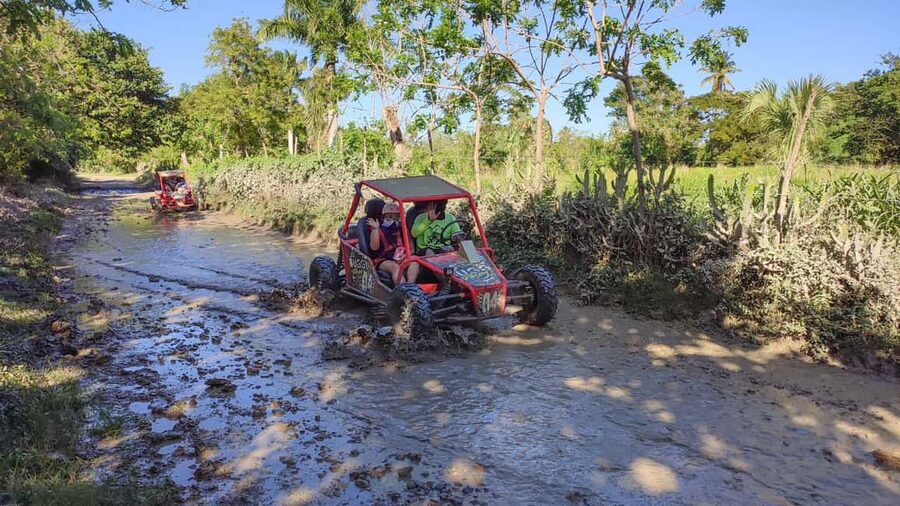 Amber Cove & Taino Bay: Buggy Tour with Swimming & Tasting - What’s included, and what you’ll want to bring anyway