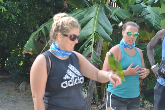 ATV 4 wheel from Amber Cove & Taino bay port silver Cruise port - Gear and Fitness: How to Prepare Like You Mean It