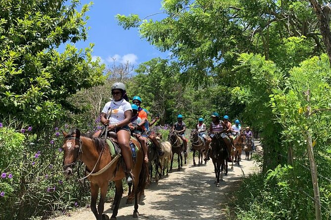 ATV and Horse Riding in Puerto Plata / Shore Excursion & Hotel - Key Points at a Glance