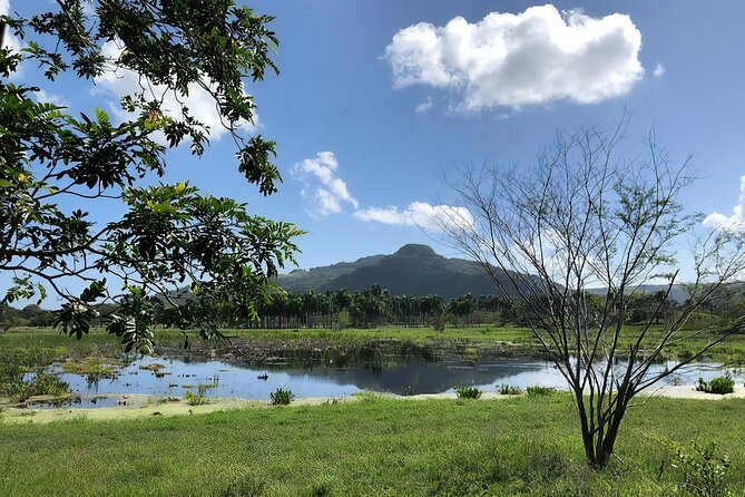 ATV and Horse Riding in Puerto Plata / Shore Excursion & Hotel - Timing and Value: About 4 Hours of Riding, Then Your Own Day