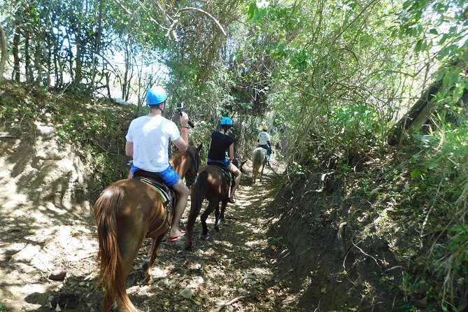 ATV and Horse Riding in Puerto Plata / Shore Excursion & Hotel - Should You Book This ATV and Horse Adventure?