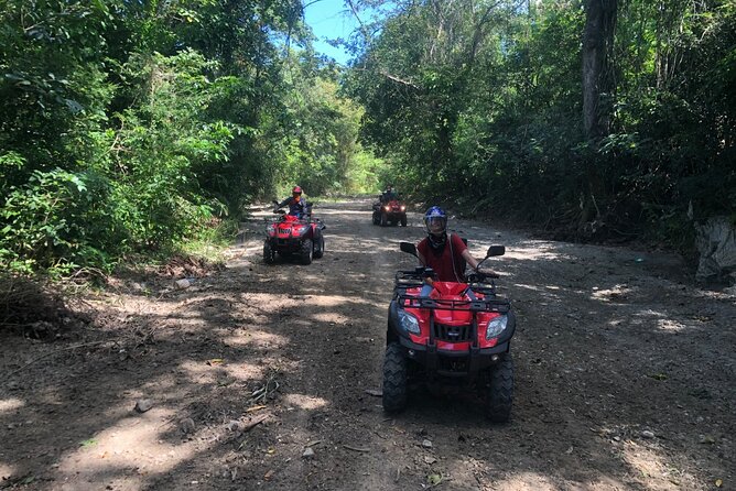 ATV N Zip: 8 Zip Lines plus ATV's - Price and Value: What $124.99 Gets You