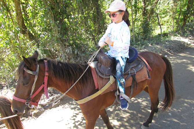 Beach Horseback Ride Tour in Puerto Plata - Scenic & Fun for All - Riding from Puerto Plata toward Bergantín Beach