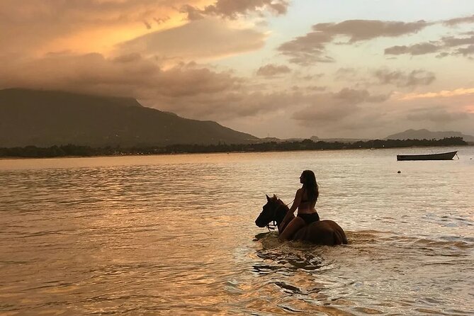 Beach Horseback Ride Tour in Puerto Plata - Scenic & Fun for All - Port pickup and the 2.5-hour schedule you’ll actually feel