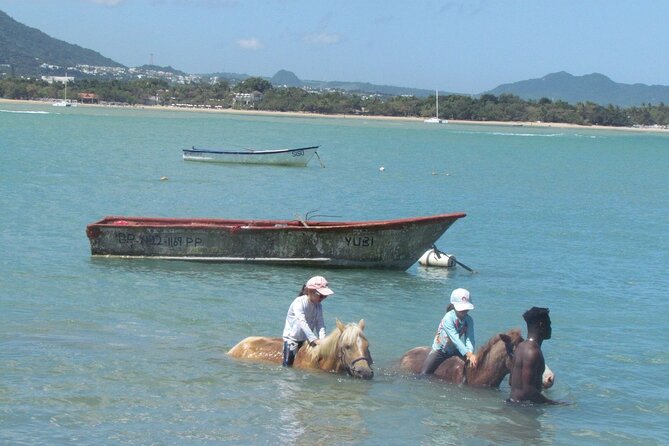 Beach Horseback Ride Tour in Puerto Plata - Scenic & Fun for All - Price and value: what $70 covers (and what doesn’t)