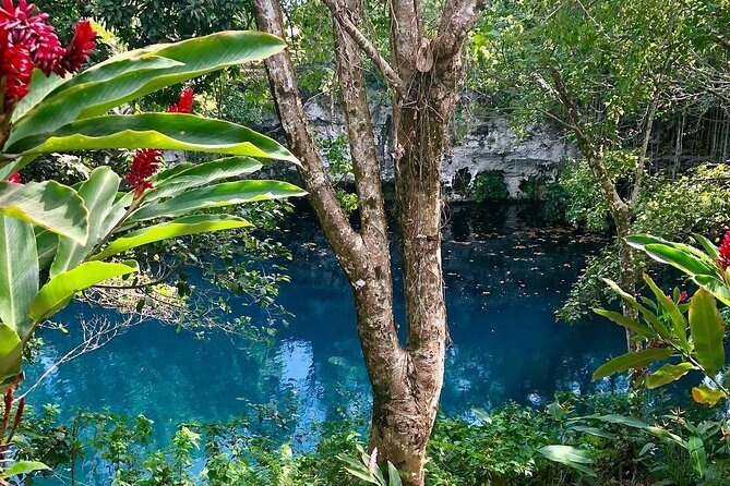 Blue Dudu Lagoon - Monumento Natural El Saltadero: Waterfall Views and Acrobatics