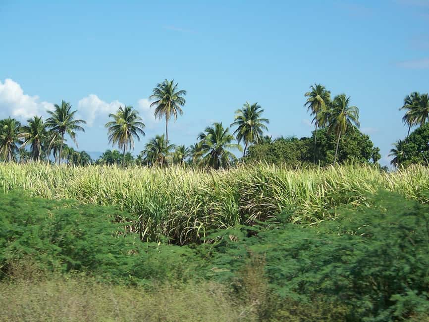 Cabarete: 2-Person Dominican Countryside Buggy Tour - Getting from Puerto Plata or Cabarete to the tracks