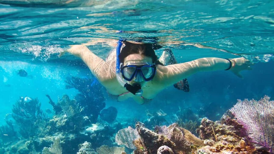 Catalina Island, even more pristine than Saona - Catalina Island Tour From Bávaro: the day’s payoff