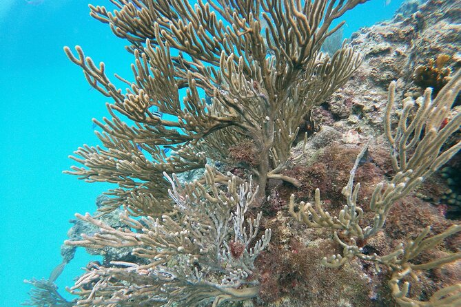 Catamaran Party Cruise with Snorkeling & BBQ - Photos you can buy: keeping the memories simple