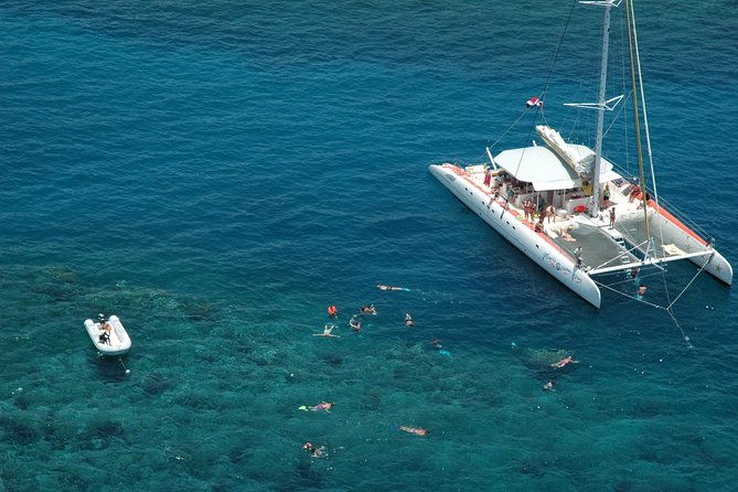 Catamaran Snorkeling All-Inclusive Day-Trip - The value in an $84 Puerto Plata sea day
