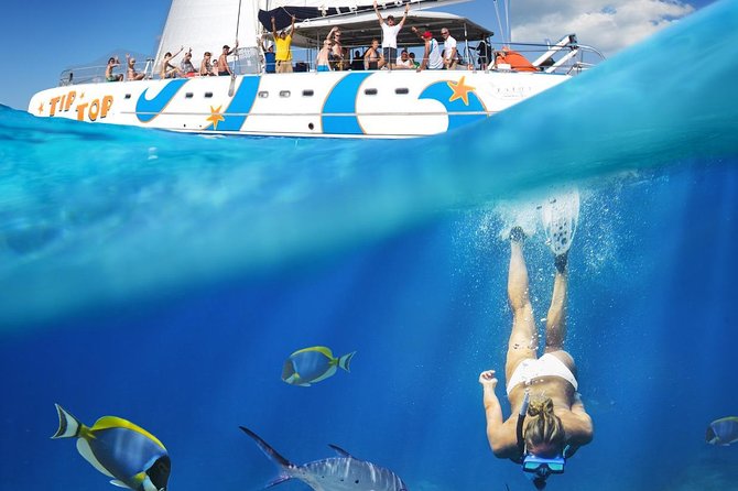 Catamaran Snorkeling All-Inclusive Day-Trip - What that 75-foot catamaran experience feels like