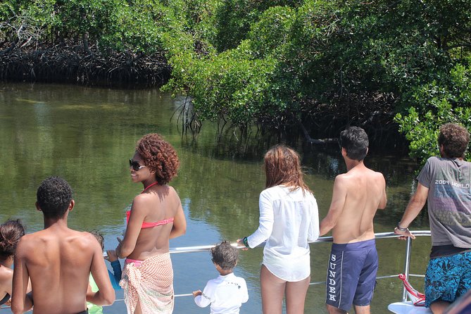 Cayo Arena Catamaran Cruise from Puerto Plata with Lunch - Price and value: what $160 buys (and what to watch)