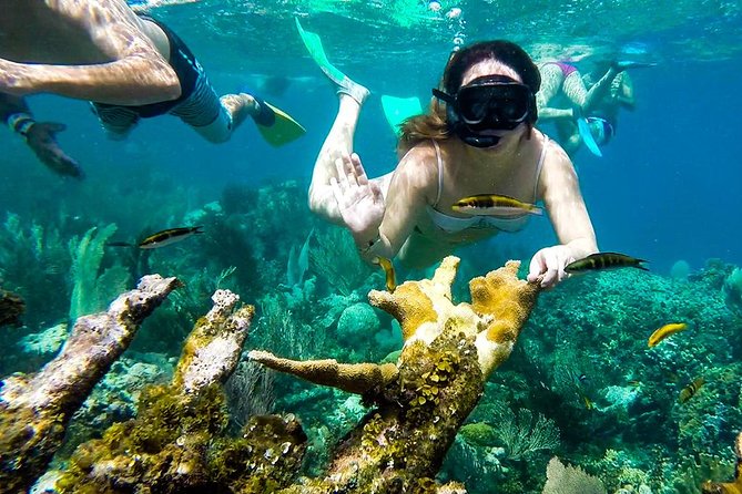 Cayo Arena Day Trip from Puerto Plata - Price and Value: What $95 Covers (and Why It’s Not Just a Boat Ride)