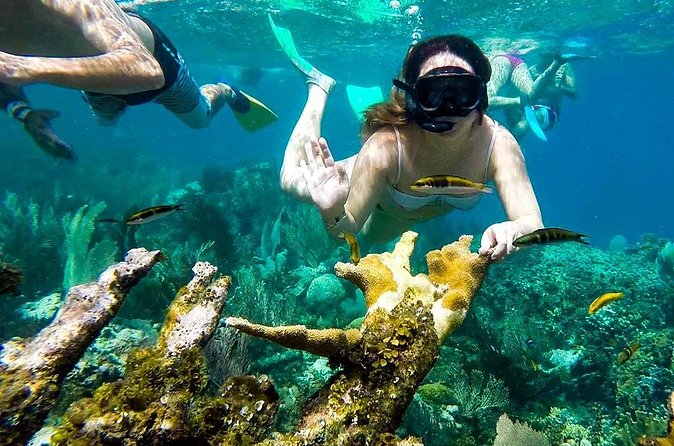Cayo Arena Day Trip from Puerto Plata - Weather Dependence and the Real-Life Risk of Short Changes