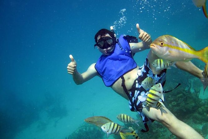 Cayo Arena Exclusive Tour with Lunch - The catamaran cruise: coastline views and a slower pace