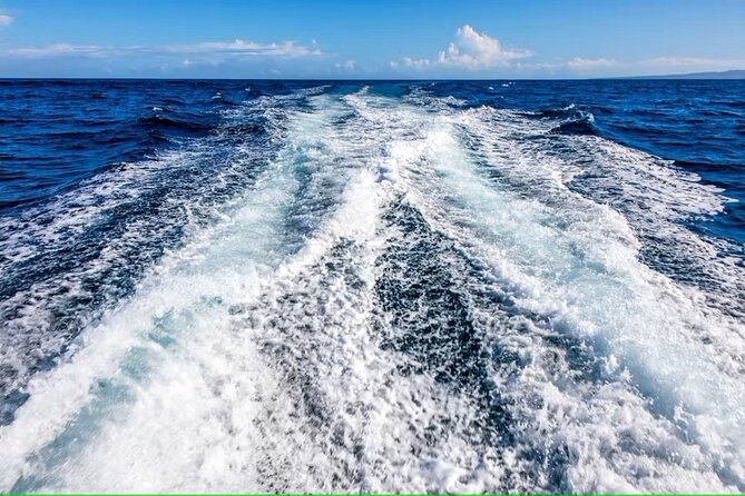 Cayo Arena Exclusive Tour with Lunch - Price and value: what you’re paying for beyond the boat ride