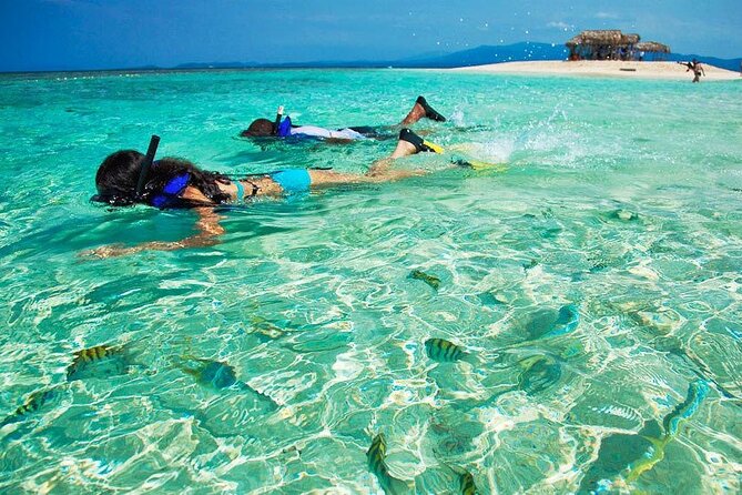 Cayo Arena Exclusive Tour with Lunch - What to bring and how to plan your day