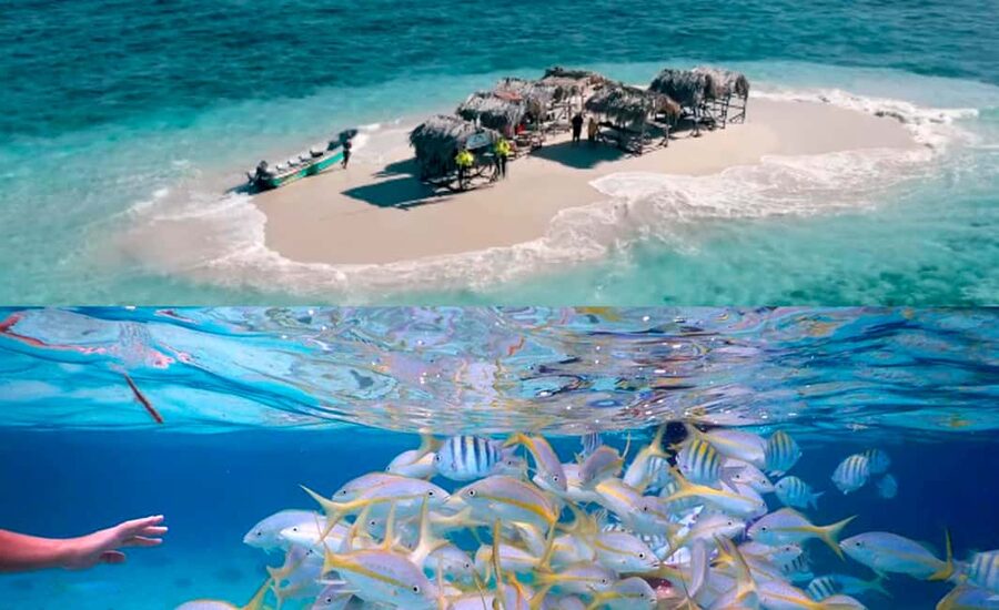 Cayo Arena: Paradise Island and Mangroves Tour - Should you book this tour?