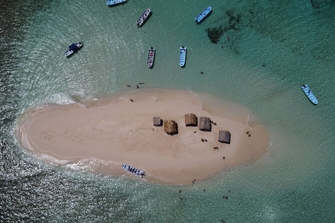 Cayo Arena, Paradise Island Tour - Stop 3: Speedboat through the mangroves