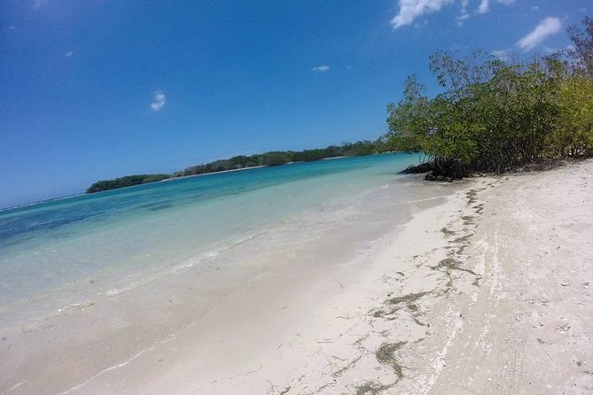 Cayo Arena, Paradise Island Tour - Stop 5: Puerto Plata market stop and the ride back