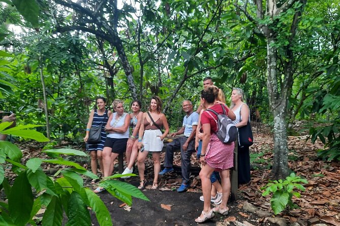 Cocoa & Artisan Chocolate Route with an Historical Tour in Puerto Plata City - Cocoa, Chocolate, and Puerto Plata’s Old Streets in One Day