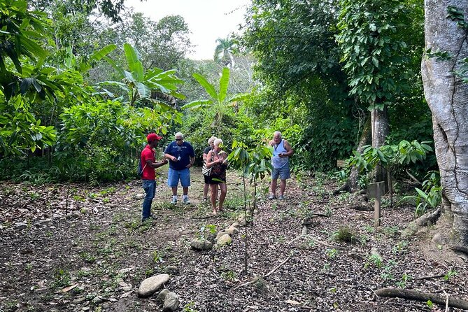 Cocoa & Artisan Chocolate Route with an Historical Tour in Puerto Plata City - Is This Cocoa and Artisan Route Worth $98?