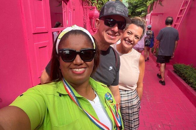 Combo : Damajagua Waterfalls and City Tour with Dominican Lunch - Who this excursion fits best (and who should pass)