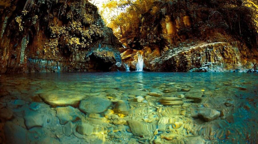 Damajagua Waterfalls Tour with Lunch - Price and logistics: is $65 a smart deal for Puerto Plata?