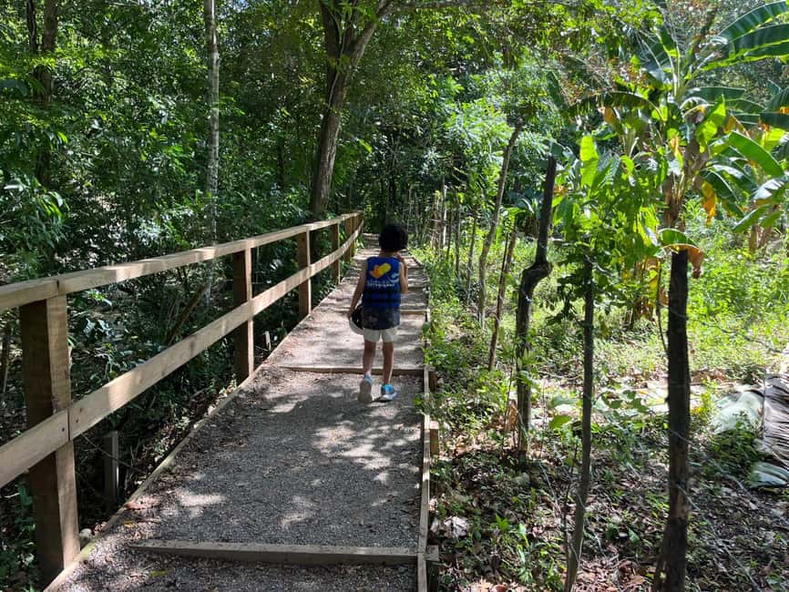 Damajagua Waterfalls Tour with Lunch - What to bring (and what to avoid losing)