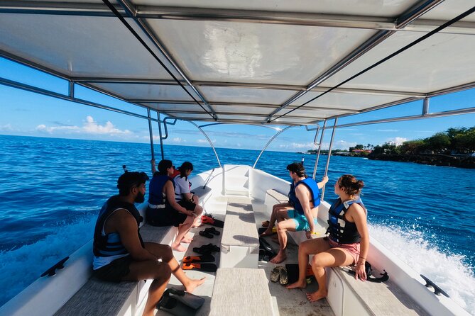 Discover Sosua's Underwater World & Beach Day - Price and What $69 Buys You in Real Terms