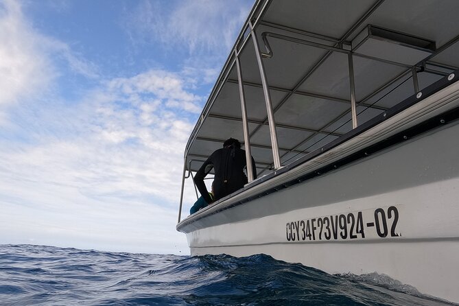 Discover Sosua's Underwater World & Beach Day - Guides on the Water: Clear Help for First-Timers