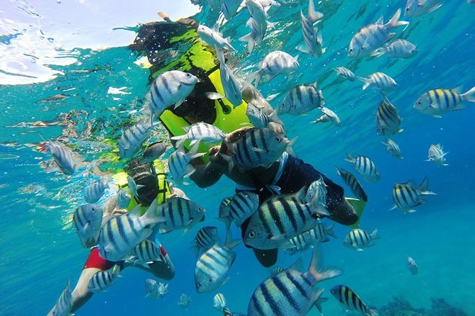 Discover Sosua's Underwater World & Beach Day - Equipment You Don’t Have to Rent (and What to Check)
