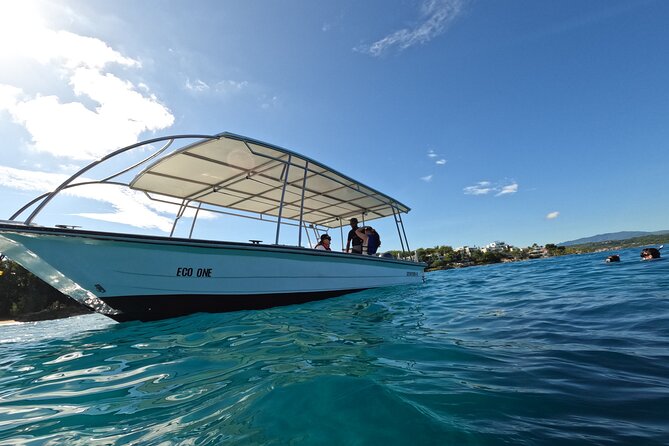 Discover Sosua's Underwater World & Beach Day - Who Should Book This Snorkeling + Beach Day