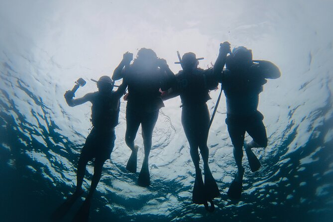 Discover Sosua's Underwater World & Beach Day - Timing, Weather, and Group Size: The Practical Stuff