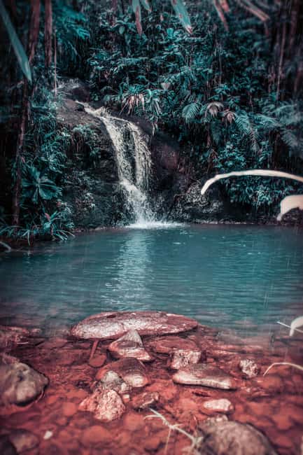 Exclusive Puerto Plata Waterfalls for groups up to 6 People - Lunch Buffet Timing: Fueling Up Without Losing Your Water Time