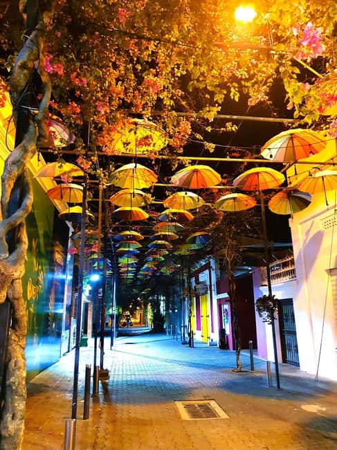Experience the Nightlife: Puerto Plata + Sosua + Cabarete - Key highlights you’ll feel right away