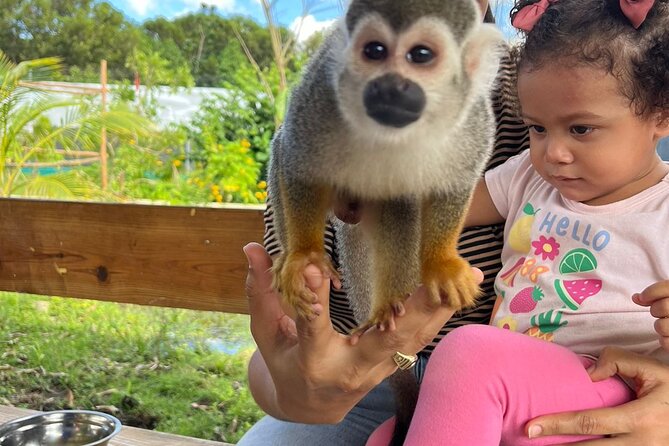 Family ATV Tour & Monkey Private Van - Monkey Home: A Hands-On Squirrel Monkey Encounter