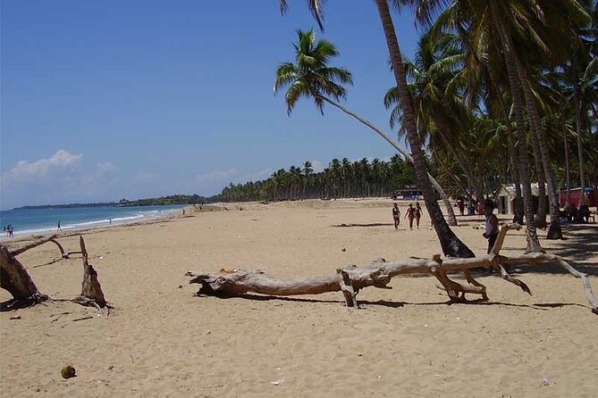 Full-Day Blue Lagoon Tour in Dominican Republic - Why This 7:00 am Blue Lagoon Day Works So Well