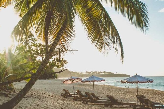 Full-Day Blue Lagoon Tour in Dominican Republic - The Guide Factor: Why Bridgido’s Kindness Matters