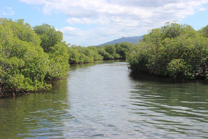 Full-Day Tour Isla Bonita Deluxe - Monte Cristi National Park: mangroves, lagoons, and birds